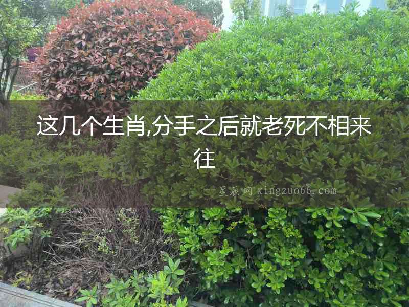 這幾個(gè)生肖,分手之后就老死不相來(lái)往