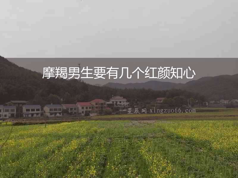 摩羯男生要有幾個紅顏知心