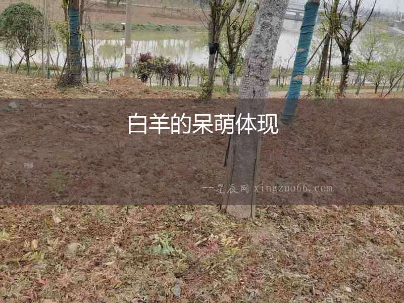 白羊的呆萌體現