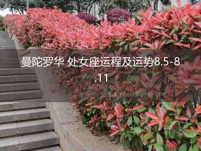 曼陀羅華 處女座運程及運勢8.5-8.11