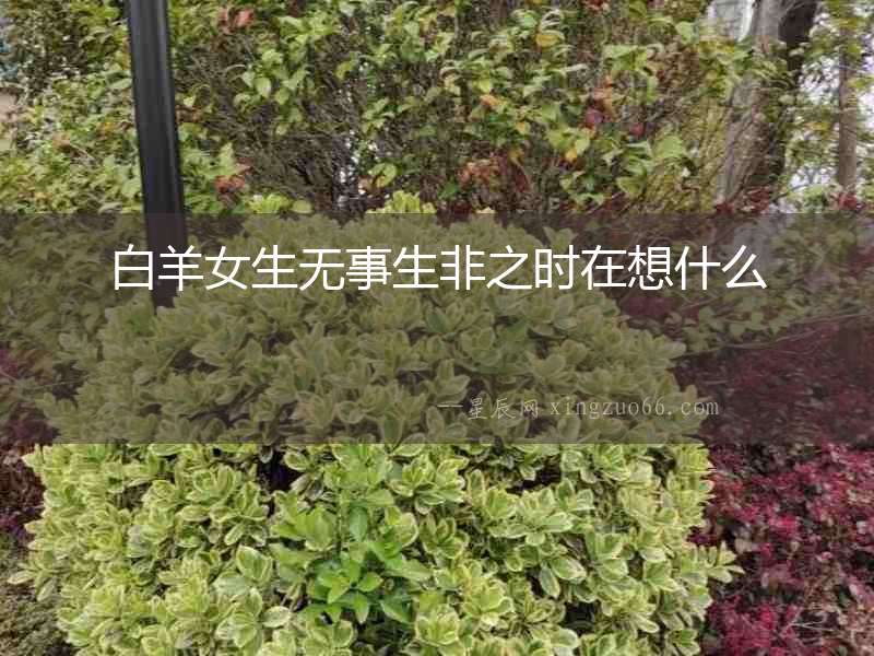 白羊女生無(wú)事生非之時(shí)在想什么