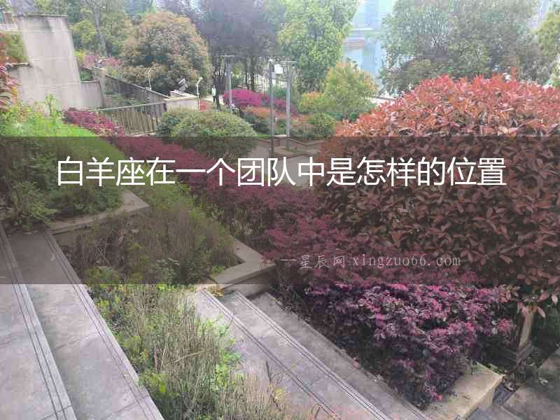 白羊座在一個(gè)團(tuán)隊(duì)中是怎樣的位置