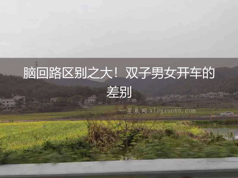 腦回路區(qū)別之大！雙子男女開車的差別