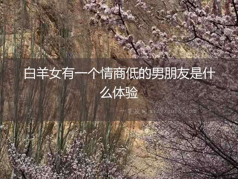 白羊女有一個情商低的男朋友是什么體驗