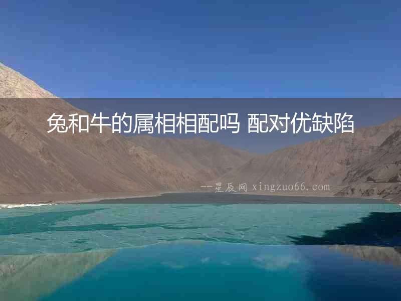 兔和牛的屬相相配嗎 配對優(yōu)缺陷