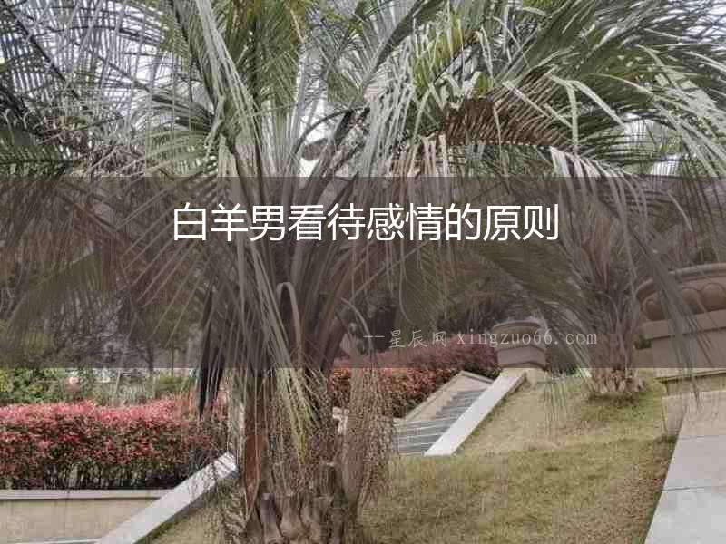 白羊男看待感情的原則