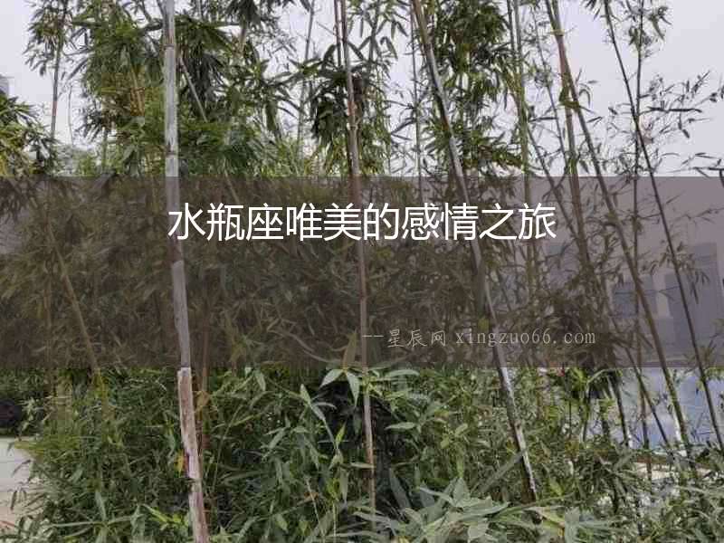 水瓶座唯美的感情之旅