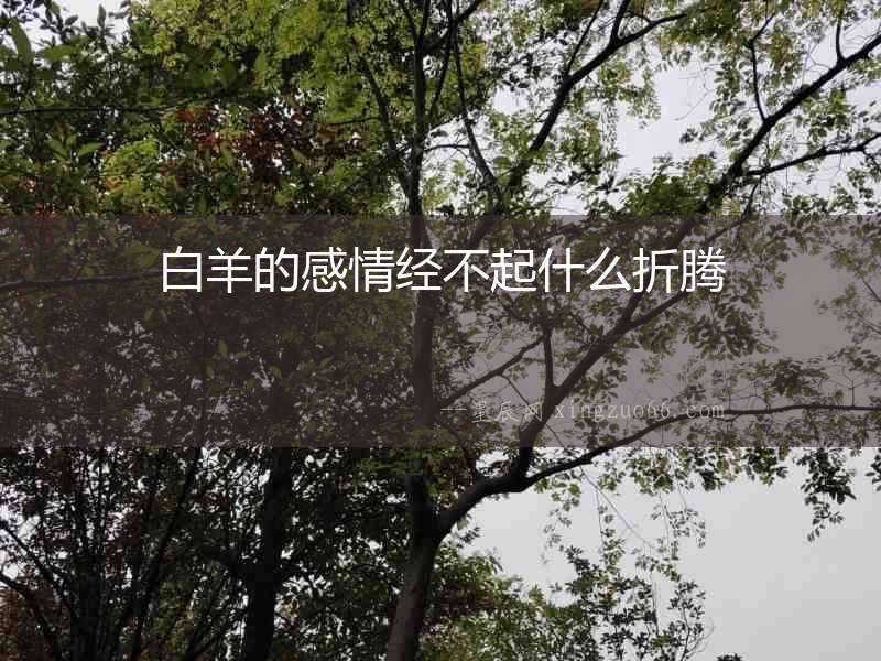 白羊的感情經不起什么折騰