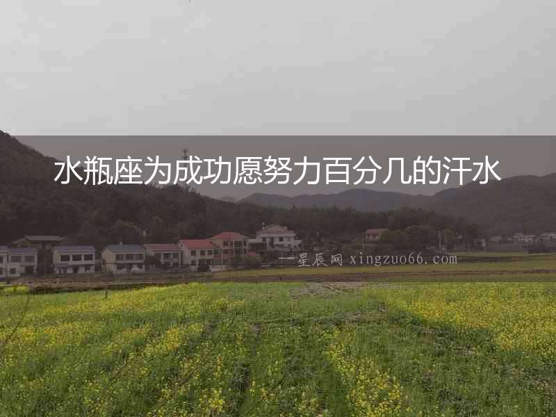 水瓶座為成功愿努力百分幾的汗水