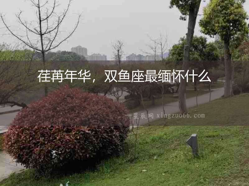 荏苒年華，雙魚座最緬懷什么