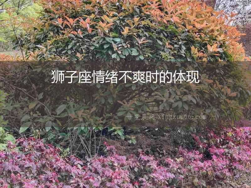 獅子座情緒不爽時(shí)的體現(xiàn)