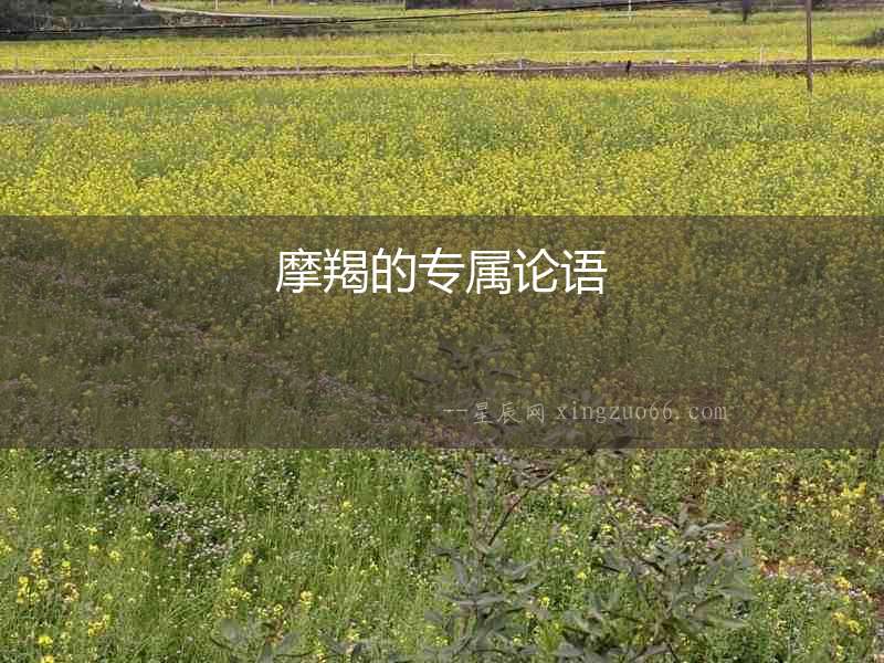 摩羯的專屬論語