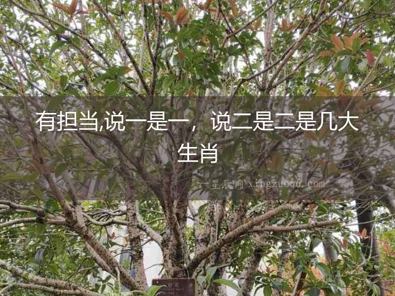 有擔(dān)當(dāng),說(shuō)一是一，說(shuō)二是二是幾大生肖