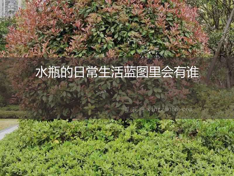 水瓶的日常生活藍圖里會有誰