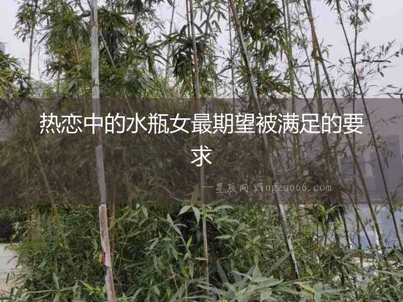 熱戀中的水瓶女最期望被滿足的要求