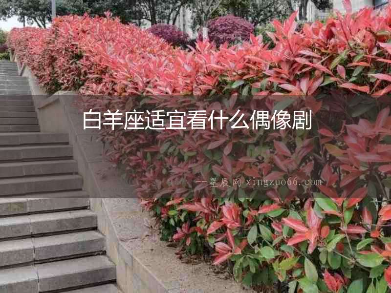 白羊座適宜看什么偶像劇