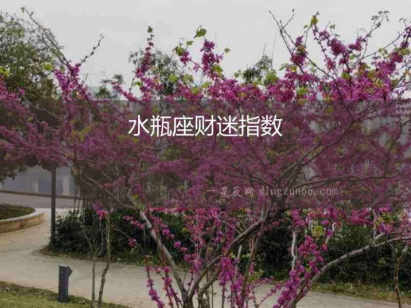 水瓶座財(cái)迷指數(shù)