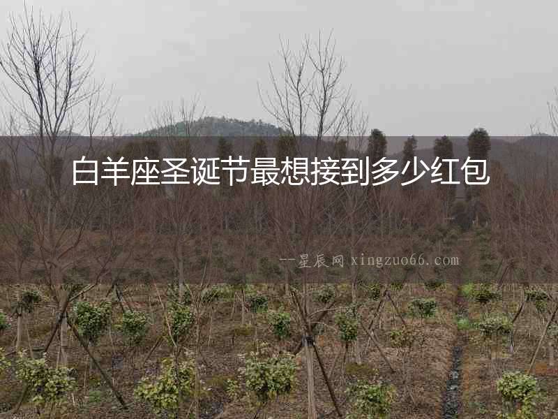 白羊座圣誕節最想接到多少紅包