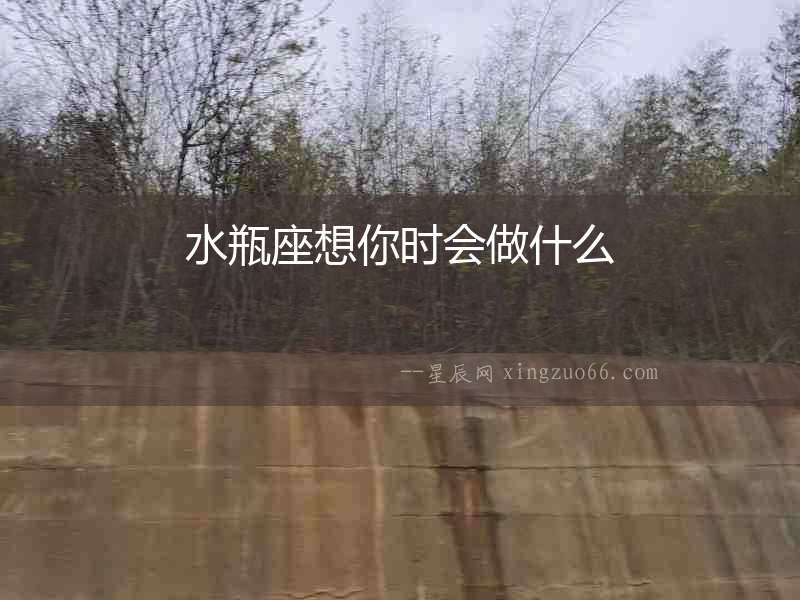 水瓶座想你時會做什么