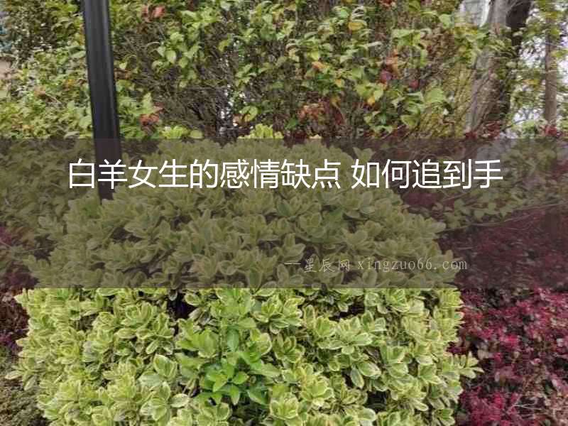 白羊女生的感情缺點(diǎn) 如何追到手