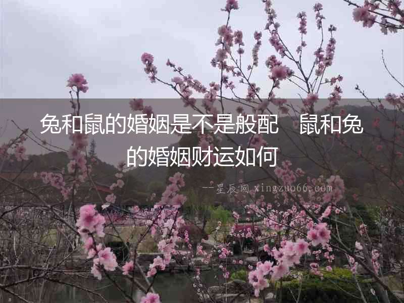 兔和鼠的婚姻是不是般配   鼠和兔的婚姻財運如何