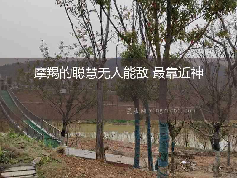 摩羯的聰慧無人能敵 最靠近神