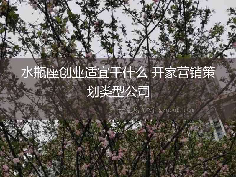 水瓶座創業適宜干什么 開家營銷策劃類型公司