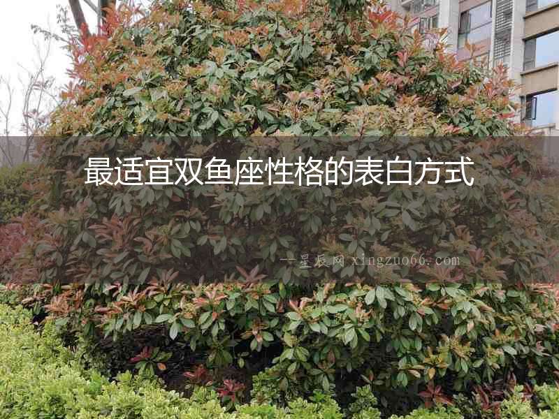 最適宜雙魚座性格的表白方式