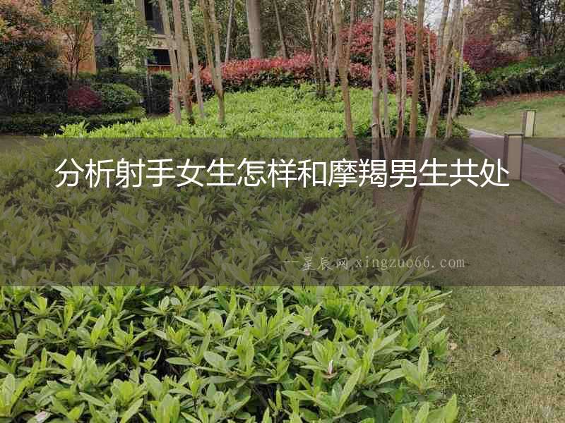 分析射手女生怎樣和摩羯男生共處
