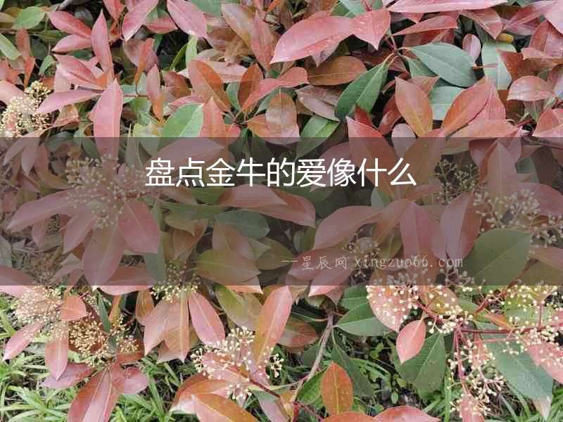 盤點金牛的愛像什么