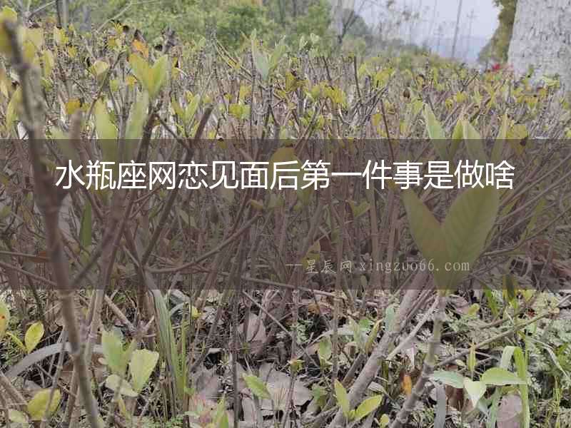 水瓶座網戀見面后第一件事是做啥