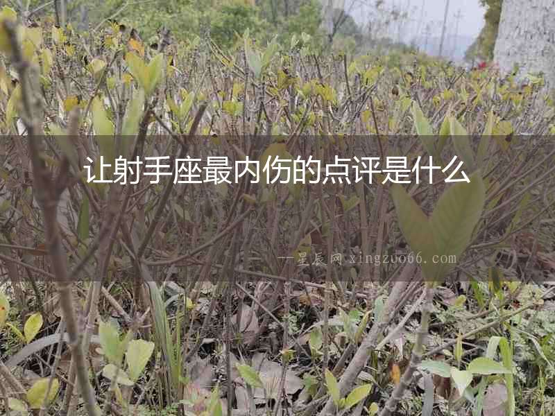 讓射手座最內傷的點評是什么