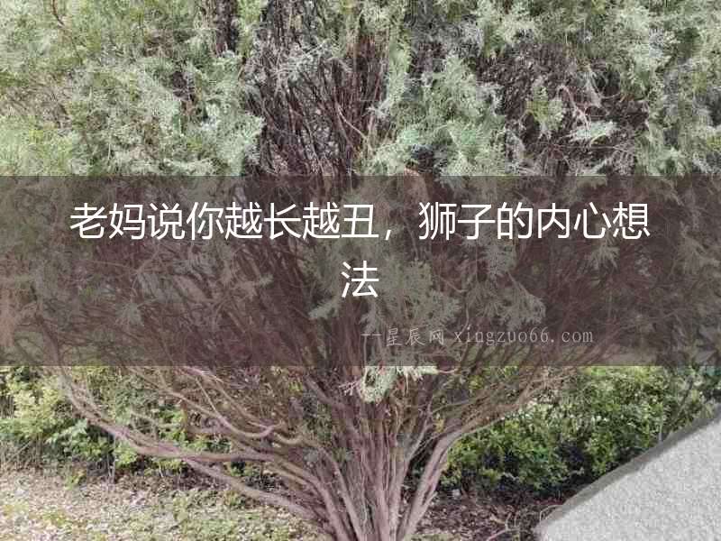老媽說你越長越丑，獅子的內心想法