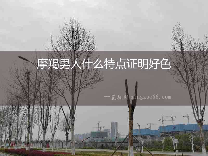摩羯男人什么特點證明好色
