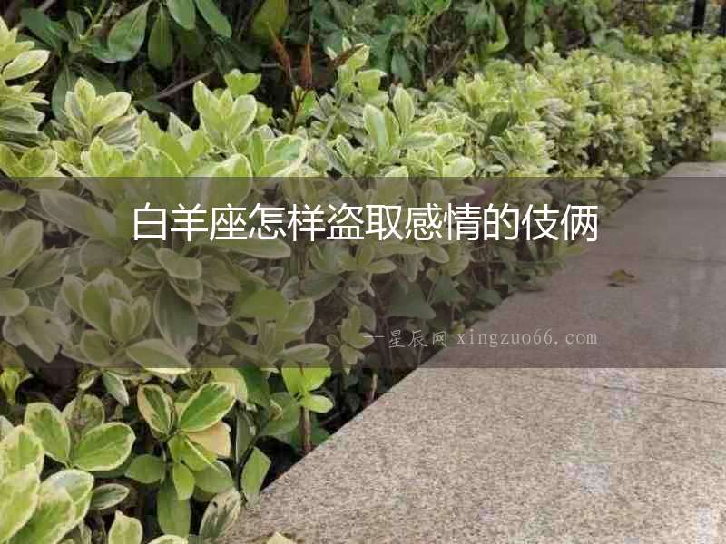 白羊座怎樣盜取感情的伎倆