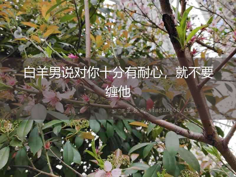 白羊男說對你十分有耐心，就不要纏他