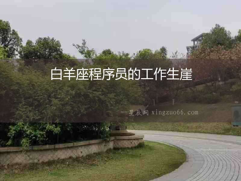 白羊座程序員的工作生崖