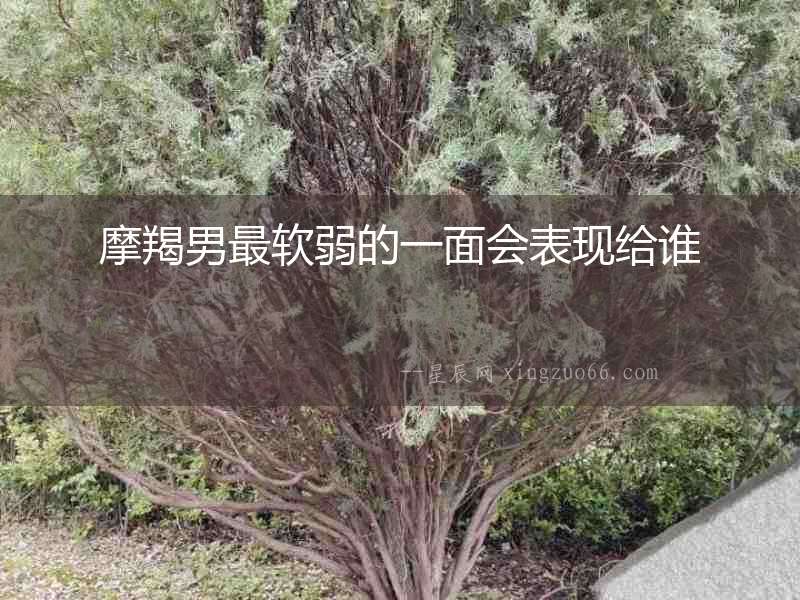 摩羯男最軟弱的一面會表現給誰