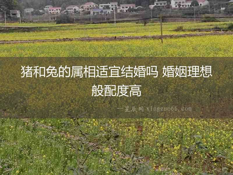 豬和兔的屬相適宜結婚嗎 婚姻理想般配度高
