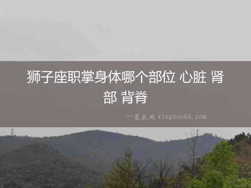 獅子座職掌身體哪個部位 心臟 腎部 背脊