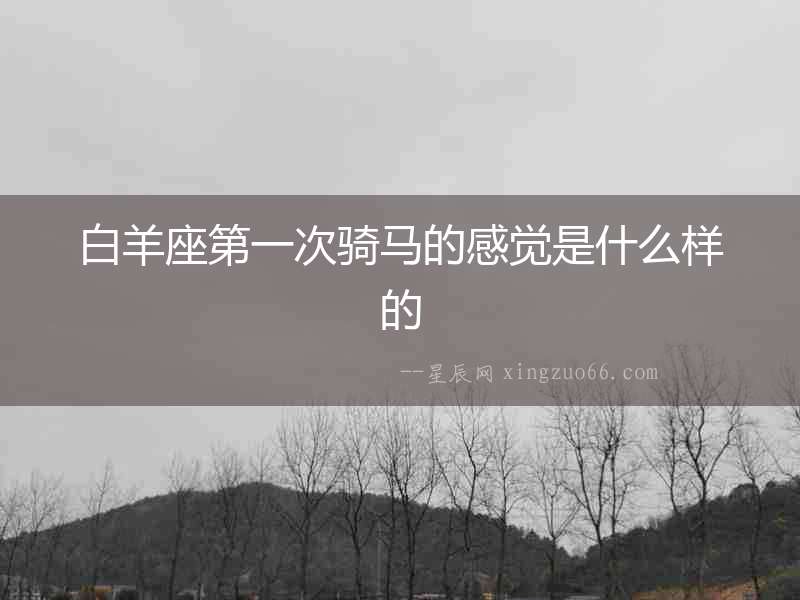 白羊座第一次騎馬的感覺是什么樣的