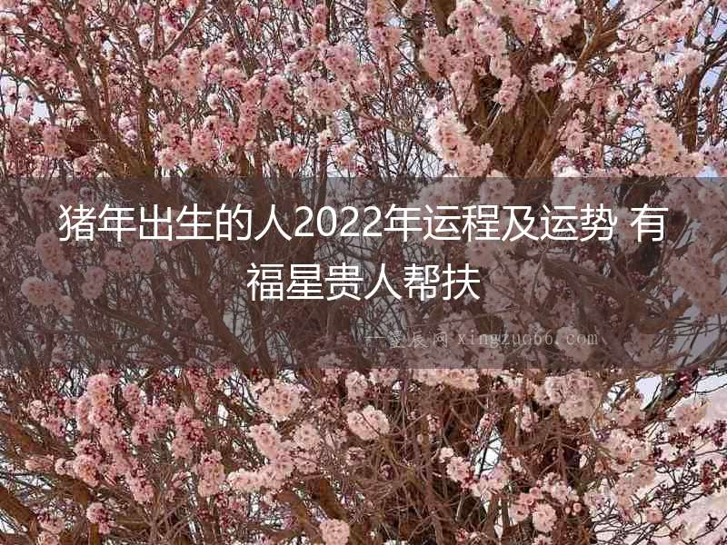 豬年出生的人2022年運程及運勢 有福星貴人幫扶