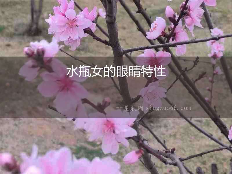 水瓶女的眼睛特性