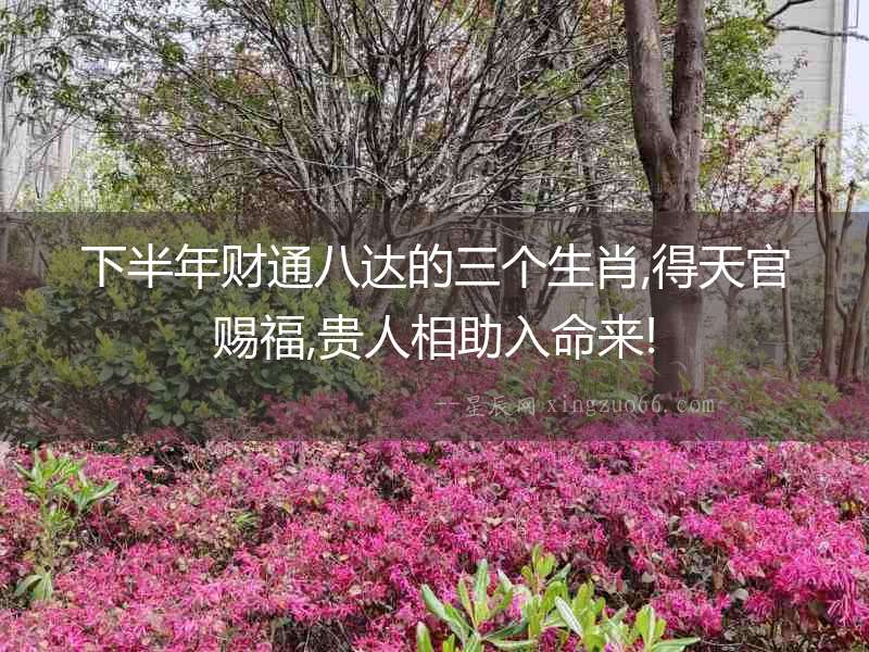 下半年財(cái)通八達(dá)的三個(gè)生肖,得天官賜福,貴人相助入命來(lái)!