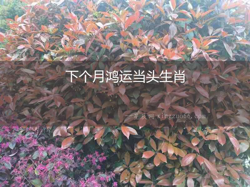 下個月鴻運當頭生肖