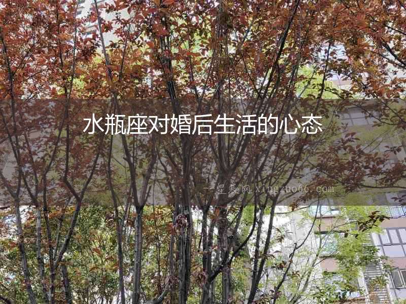 水瓶座對婚后生活的心態