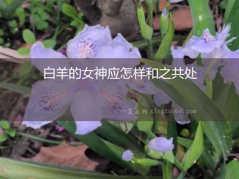 白羊的女神應(yīng)怎樣和之共處