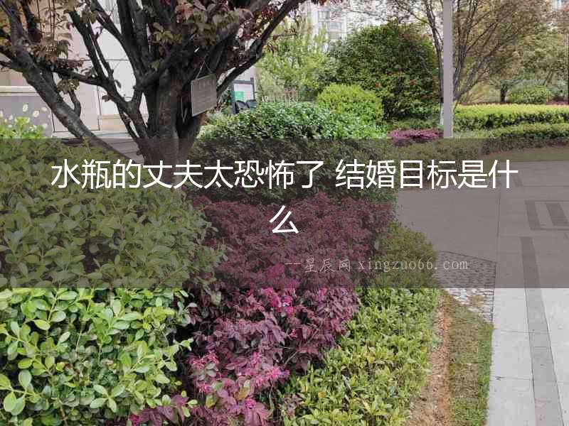 水瓶的丈夫太恐怖了 結婚目標是什么