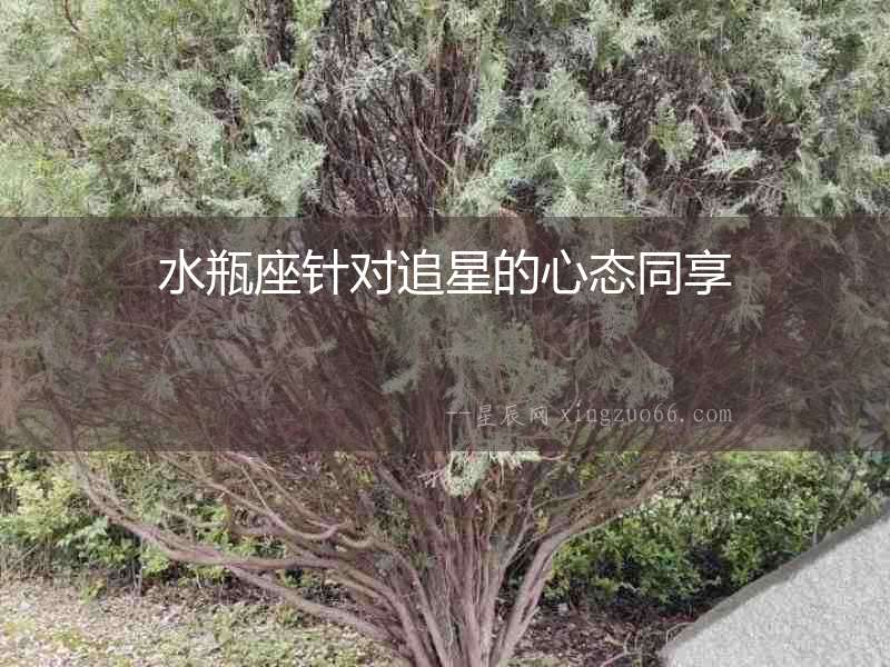 水瓶座針對(duì)追星的心態(tài)同享