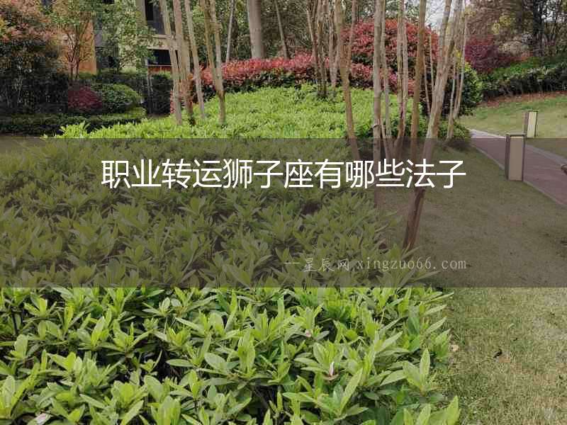職業轉運獅子座有哪些法子
